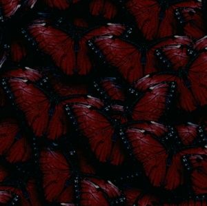 Meet your Posher, Davion